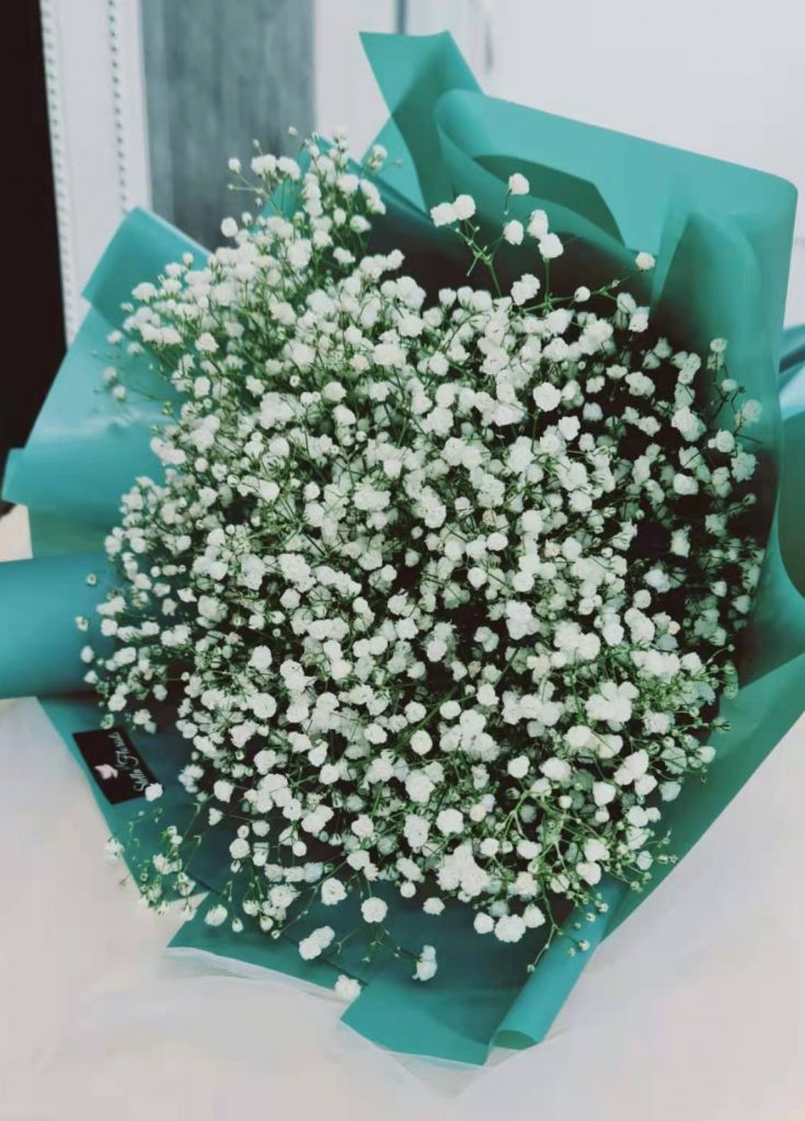 Baby's Breath Bouquet L Size White Stella Florists